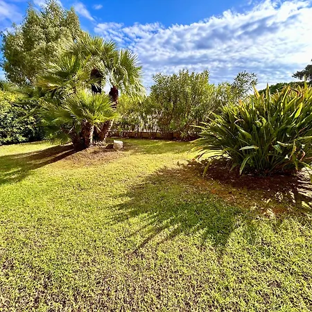 La Pinede Ajaccio (Corsica)